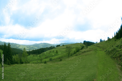 Forest green hills in mountains