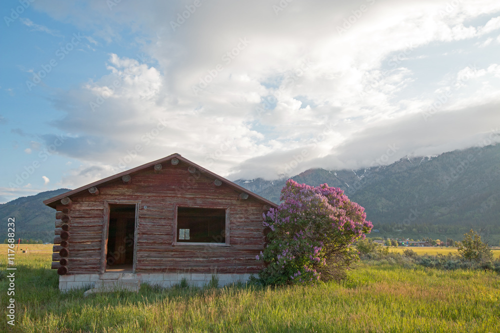 Obraz premium Abandoned Log Cabin along the Snake River in Alpine Wyoming US