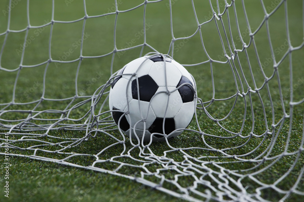 Fototapeta premium the soccer ball