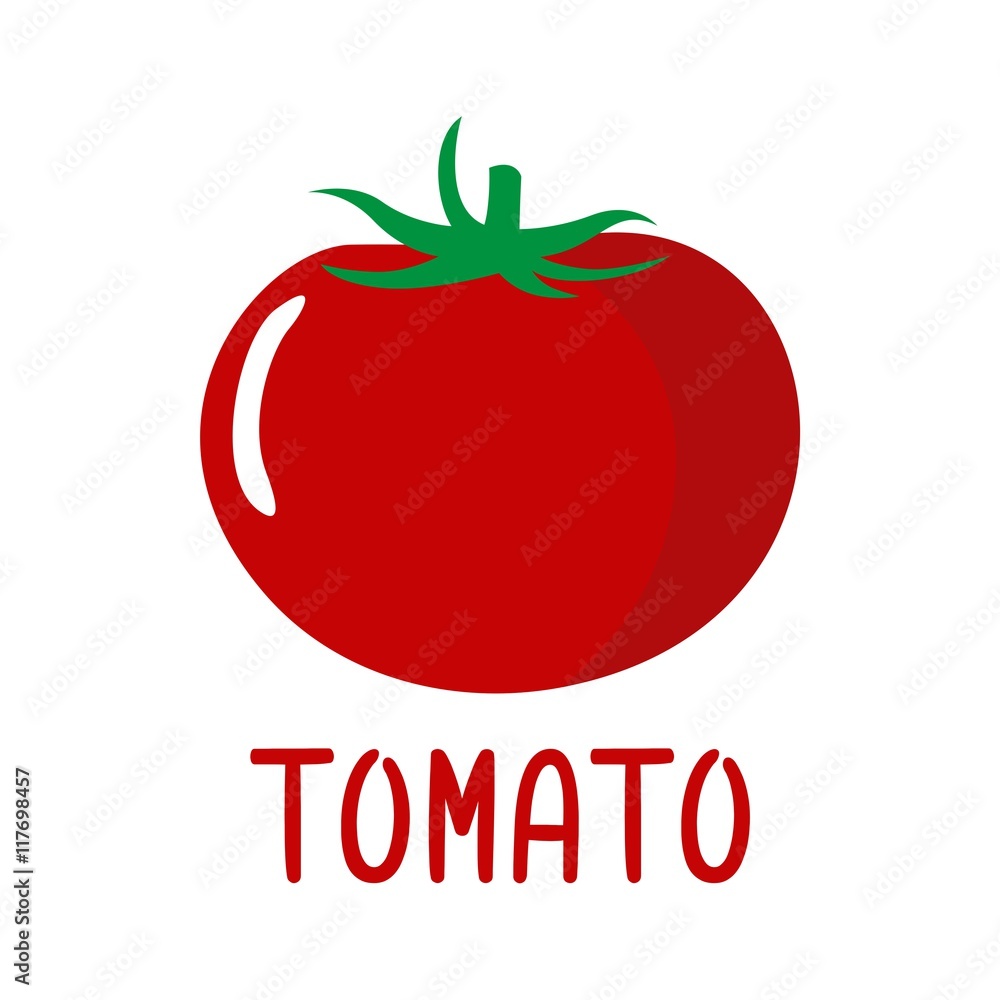 Tomato illustration vector Tomato illustration vector