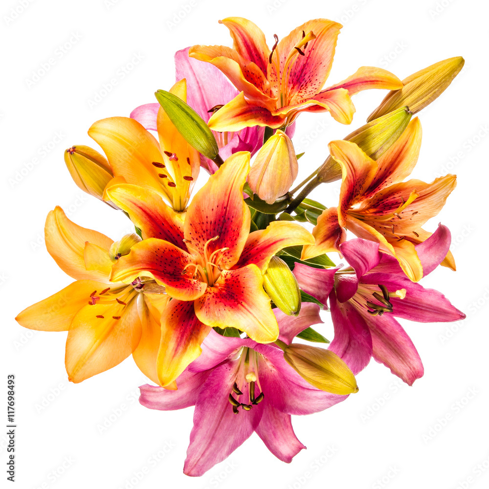 Obraz premium Vintage flowers pattern with lilies isolated on white background