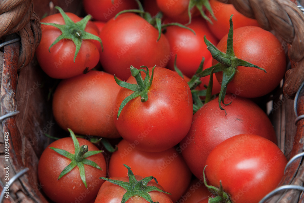 Homemade tomatoes in a basket Homemade tomatoes in a basket