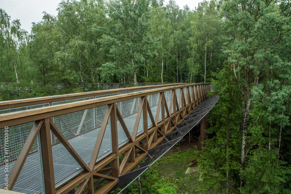The metal walkway above the forest