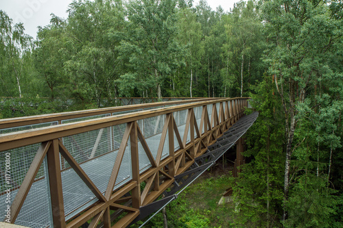 The metal walkway above the forest