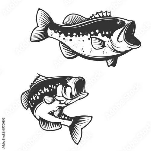 Sea bass fish silhouettes isolated on white background. Design e