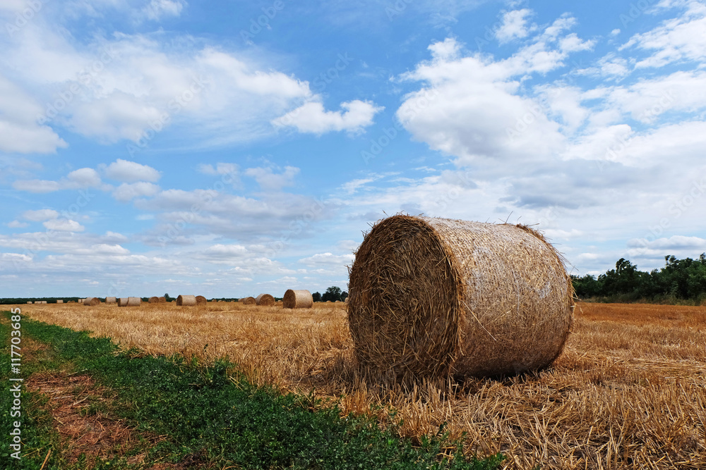 Golden hay bales