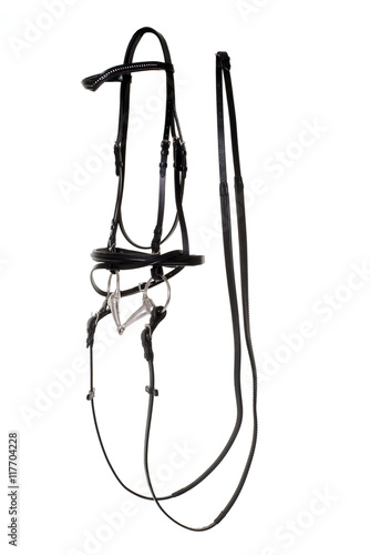 Photo bridle for horse