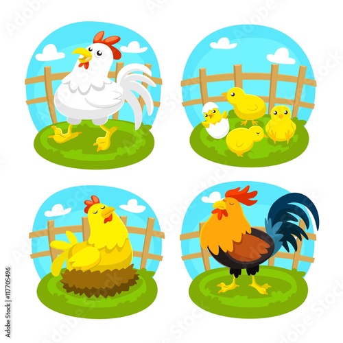 Variety of poultry