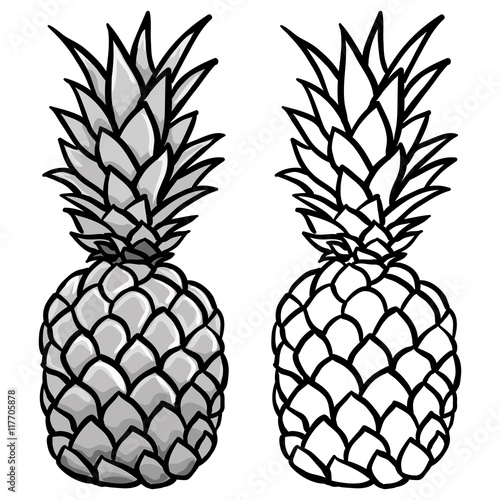 Pineapple in grey and outline illustration vector