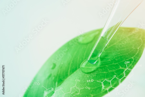 Foto water drop from leaf and laboratory for natural chemistry concept
