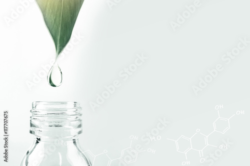 water drop from leaf and laboratory for natural chemistry concept

