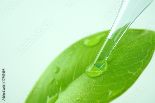 water drop from leaf and laboratory for natural chemistry concept

