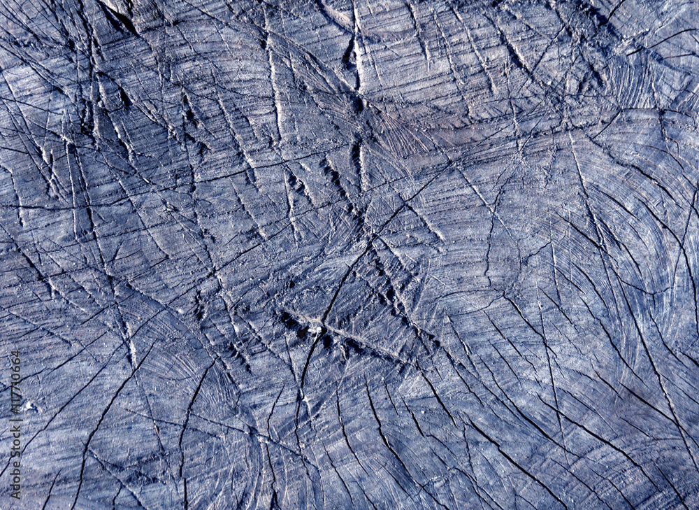 Fototapeta premium Abstract blue toned cut old tree surface with axe scratches.