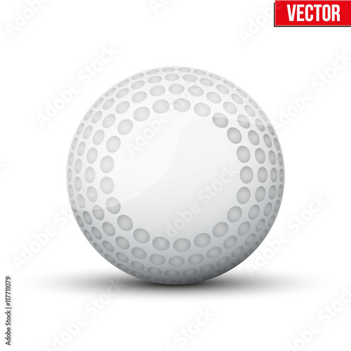 Classic Hockey Field Ball