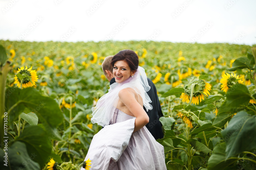 Bride looks over her shoulder walking in the field of sunflowers Bride looks over her shoulder walking in the field of sunflowers