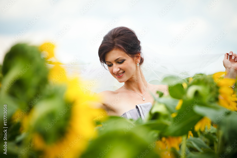 Pretty bride looks over her shoulder spreading her veil over the Pretty bride looks over her shoulder spreading her veil over the