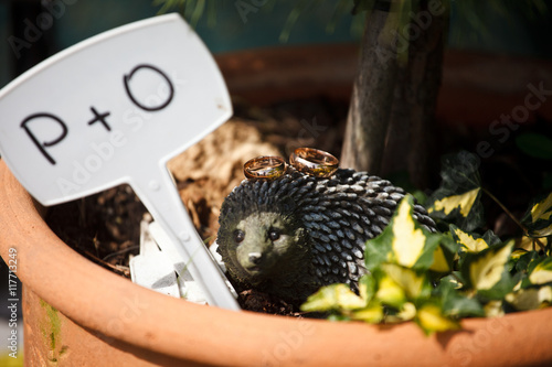 Golden rings lie on the flowerpot over the wooden hedgehog © IVASHstudio