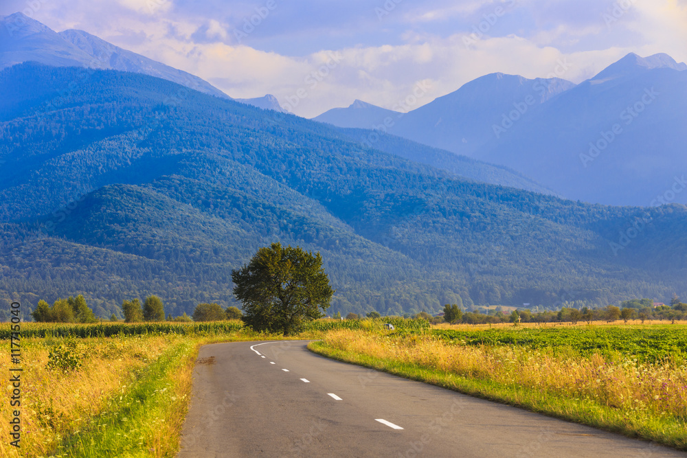 a beautiful mountain road in Fagaras mountains Romania