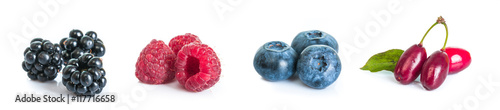 collection set of forest whole berries closeup macro isolated on a white background