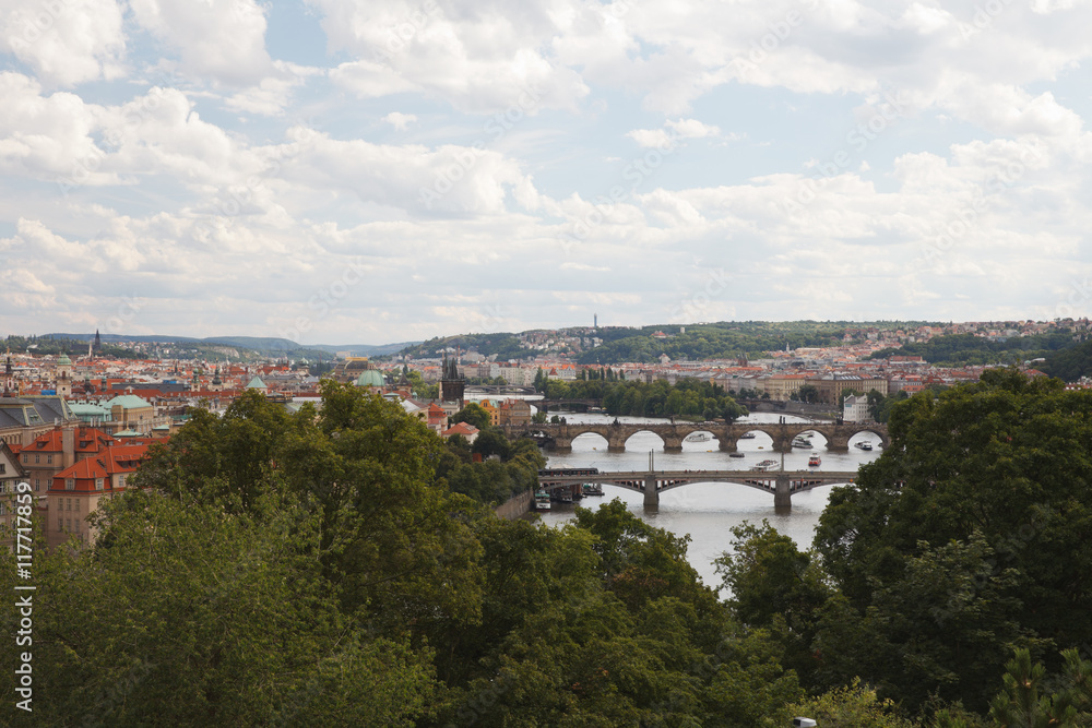 View of the River Vltava, bridges and the city. Prague
