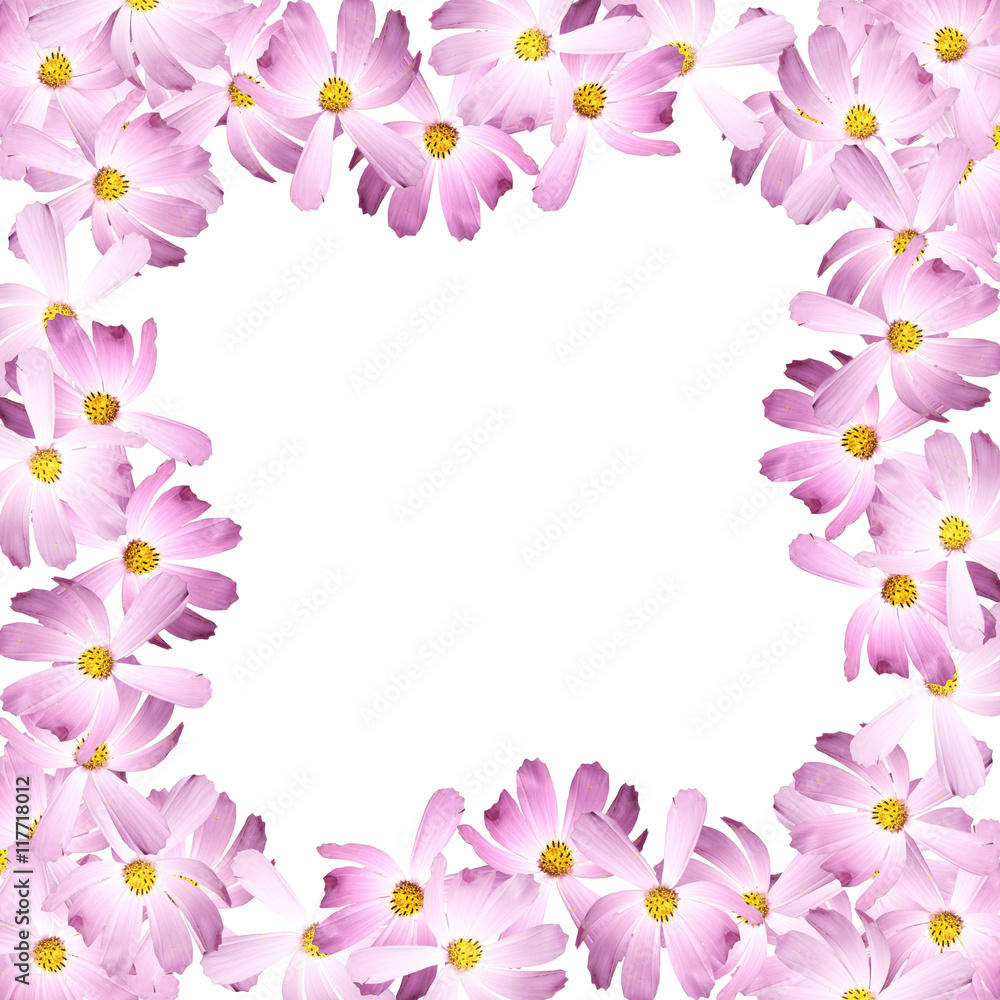 Beautiful summer background of delicate pink flowers Beautiful summer background of delicate pink flowers