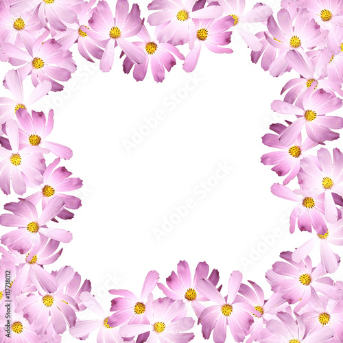 Beautiful summer background of delicate pink flowers  © Ann-Mary