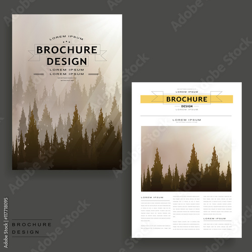 elegant brochure template