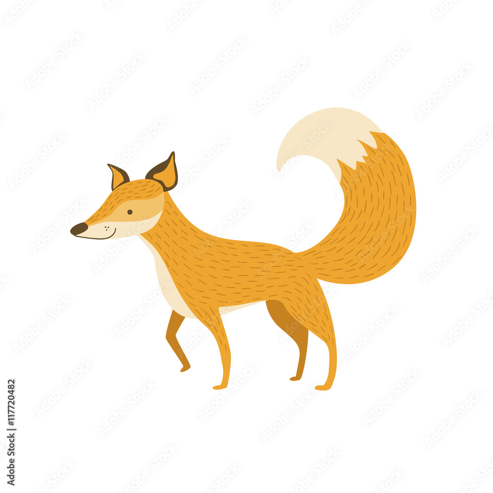 Fox Smiling Standing Like A Dog Fox Smiling Standing Like A Dog
