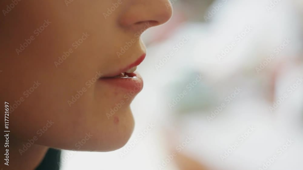 professional makeup artist paints a model lips,makeup, professional makeup professional makeup artist paints a model lips,makeup, professional makeup