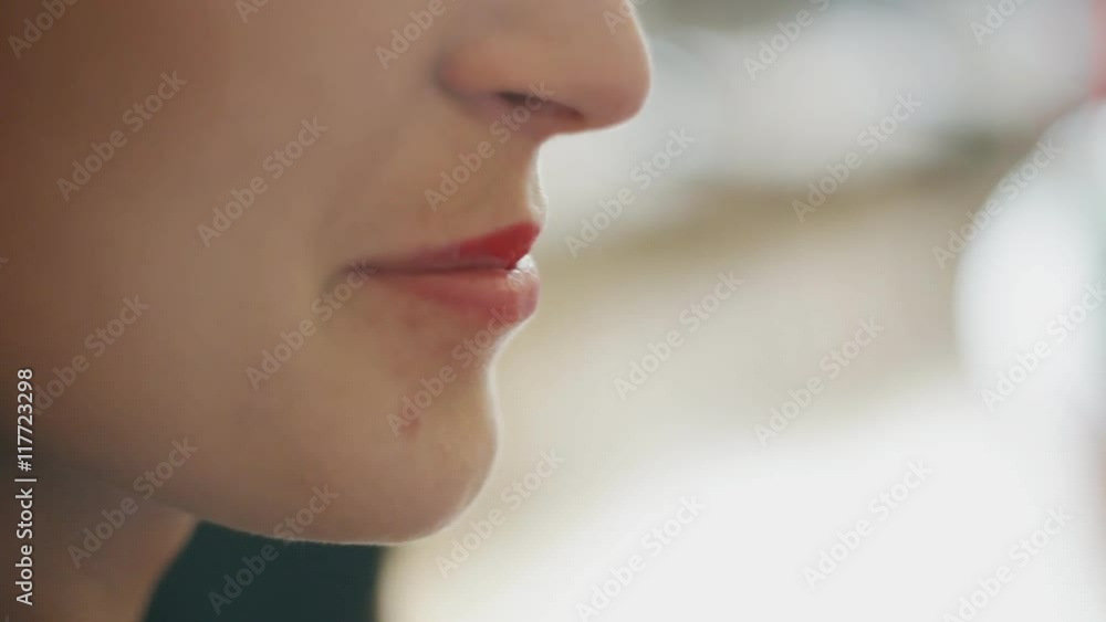 professional makeup artist paints a model lips,makeup, professional makeup professional makeup artist paints a model lips,makeup, professional makeup