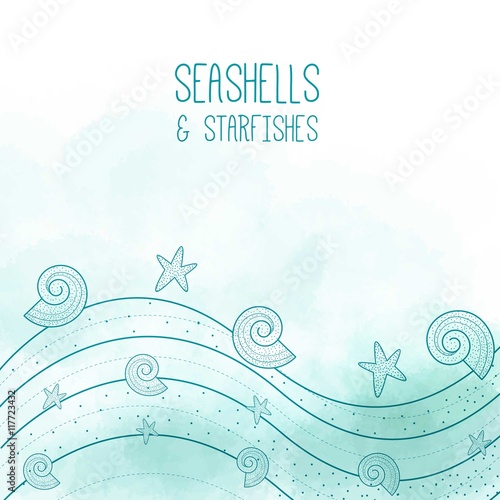 Seashells and starfishes