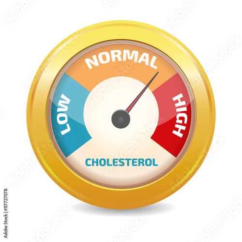 Cholesterol Meter vector