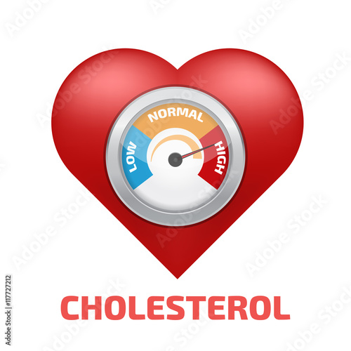 Cholesterol Meter vector