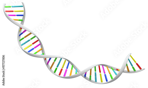 White spiral DNA strand.