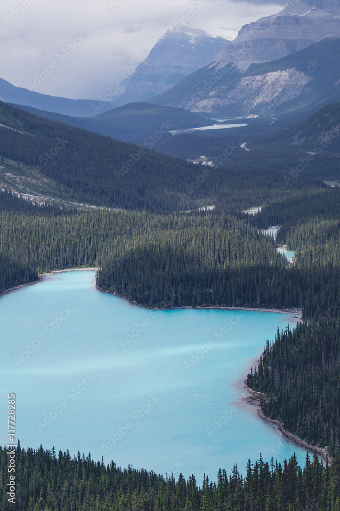 Blue mountain lake with trees