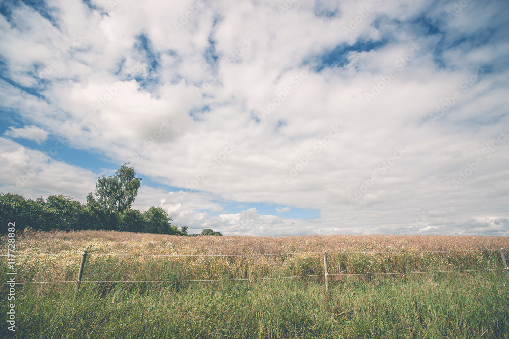 Fototapeta premium Fence on a meadow