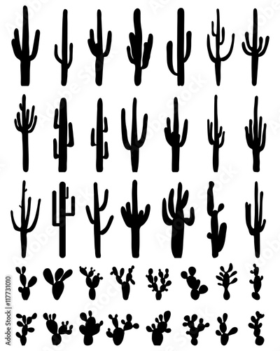 Black silhouettes of different cactus on a white background, vector