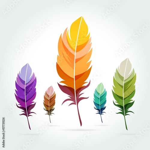 Colorful feathers