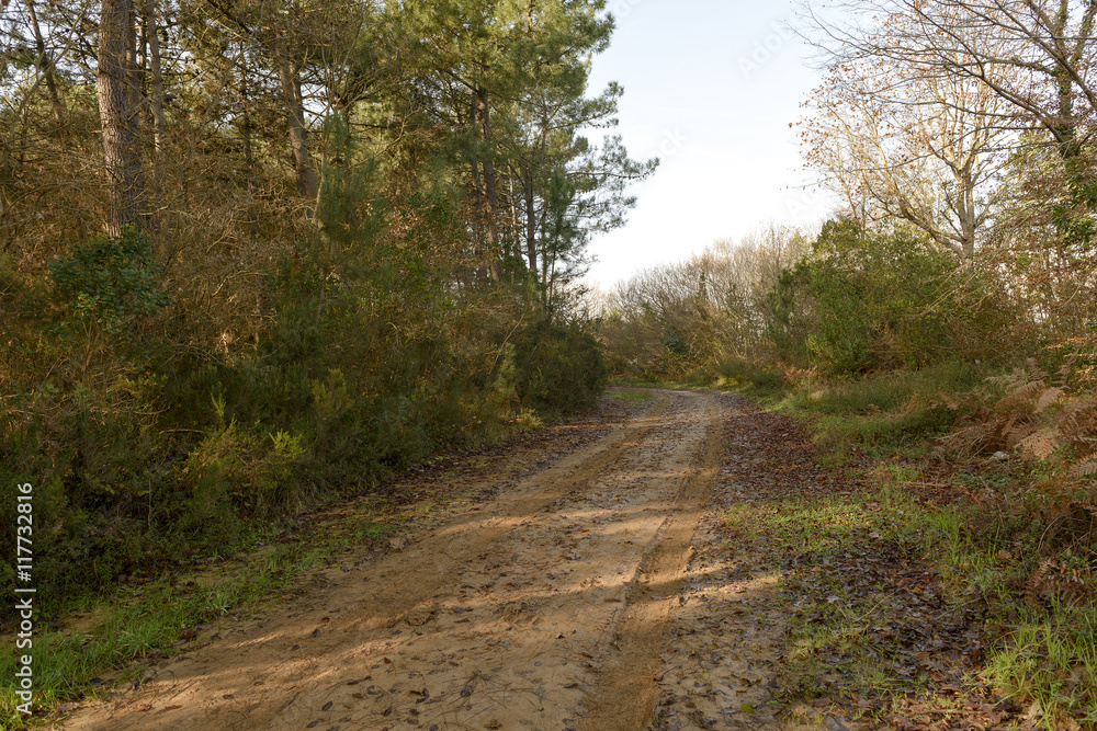 Beautiful nature, formation rocks on the sea