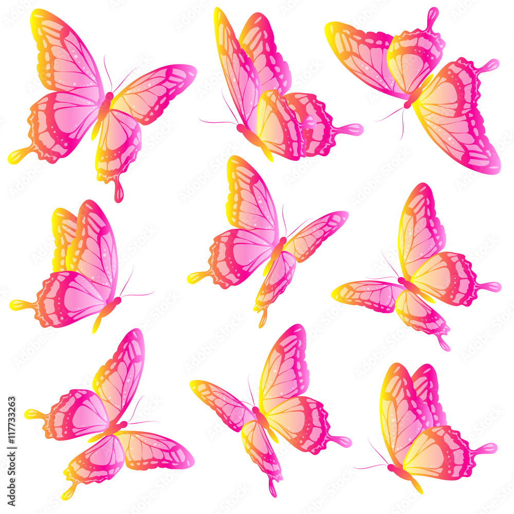 color butterflies,isolated on a white