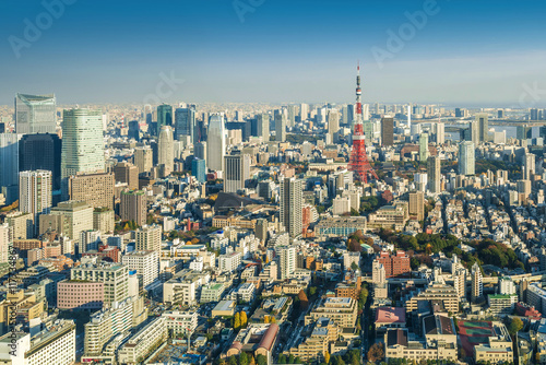 Skyline of Tokyo Cityscape with Tokyo Tower  Japan