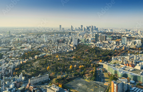Skyline of Tokyo Cityscape, Japan © worldwide_stock