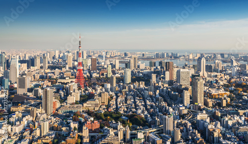 Skyline of Tokyo Cityscape with Tokyo Tower at sunset, Japan © worldwide_stock