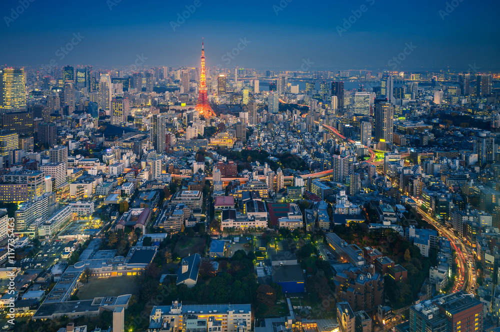 Skyline of Tokyo Cityscape with Tokyo Tower at Night, Japan