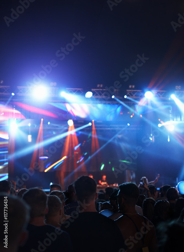 Wallpaper Mural Rear View Of Audience Enjoying Music Festival Torontodigital.ca