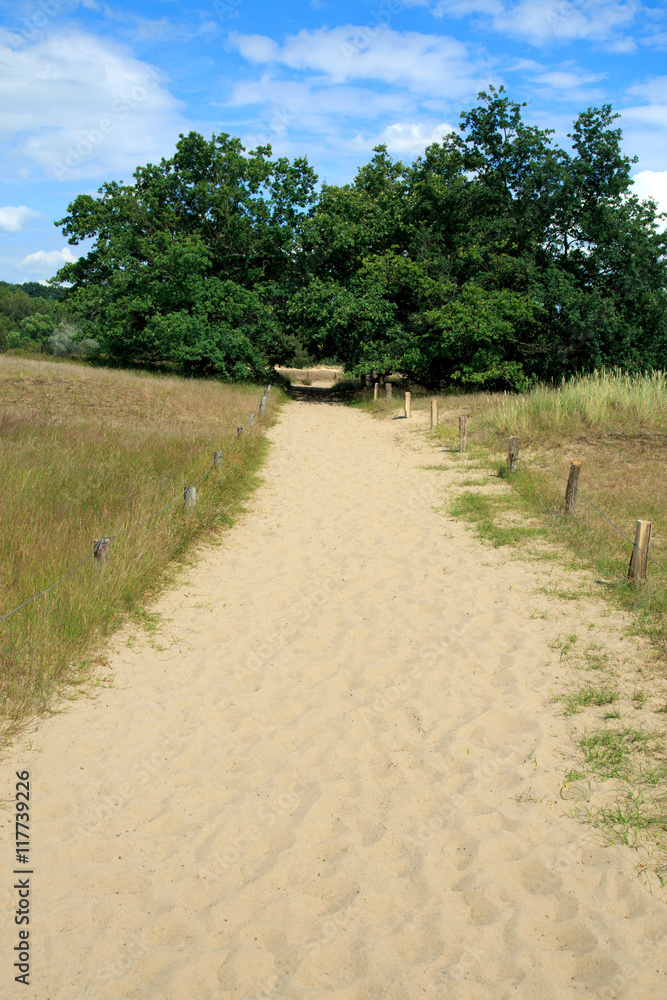 Dünenlandschaft-Naturschutzgebiet Boberger Niederung Dünenlandschaft-Naturschutzgebiet Boberger Niederung