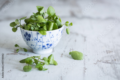 Bowl of watercress