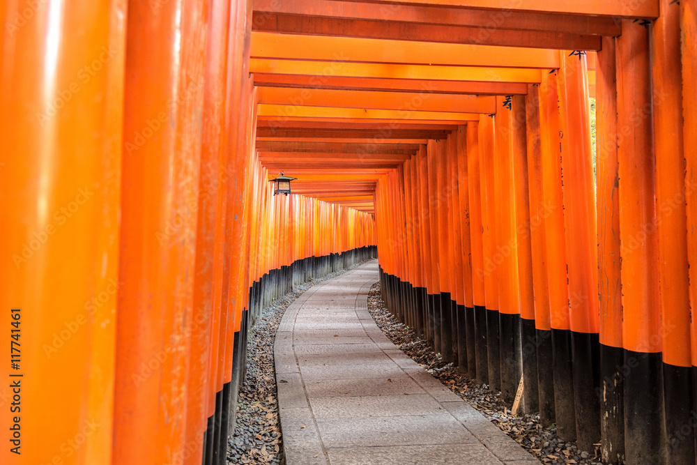 A thousands torii in fushimiinari, Kyoto in Japan. A thousands torii in fushimiinari, Kyoto in Japan.