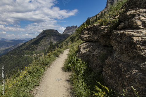 Trail in Glacier National Park  © John McGraw Photog