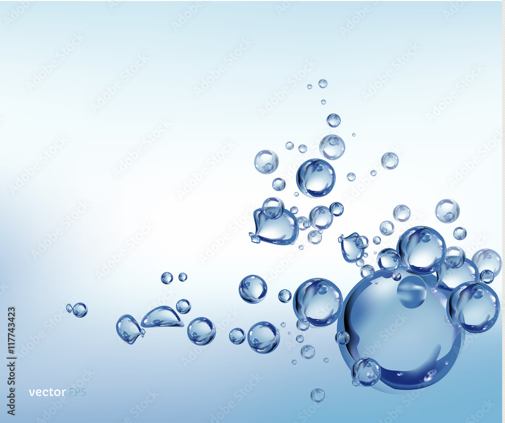 Water bubbles on white background. vector